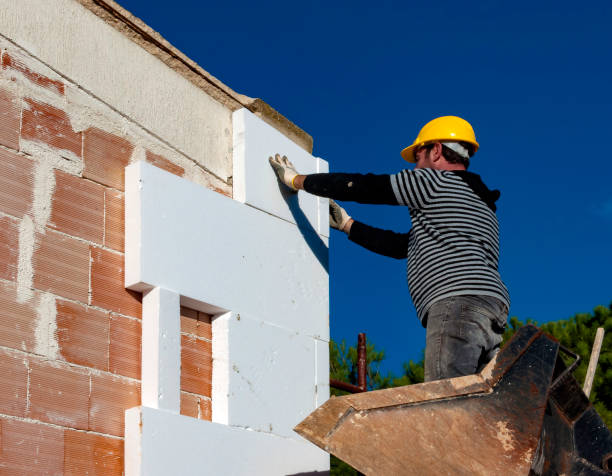 Best Insulation Removal  in Englishtown, NJ